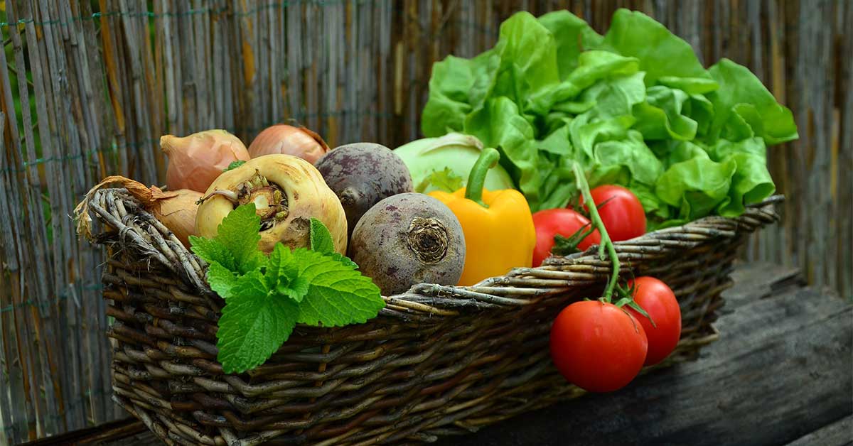 FOODS TO EAT OR AVOID WHEN FIGHTING ILLNESS